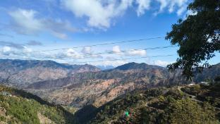 into the wild cottages