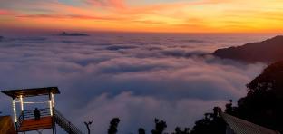 into the wild cottages