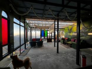 into the wild cottages