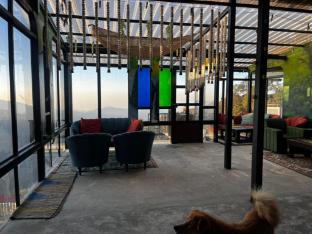 into the wild cottages