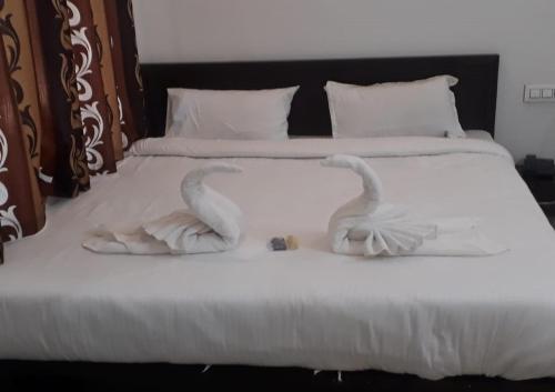 siddarth resort mountain view with pool