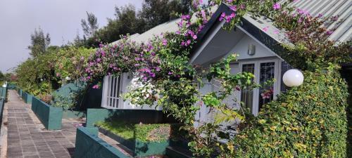 munnar tea hills resort