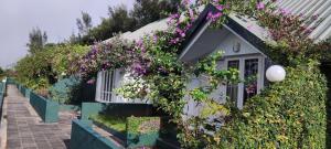 munnar tea hills resort