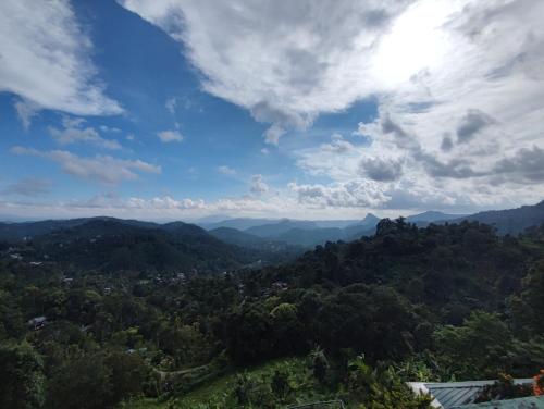 munnar tea hills resort