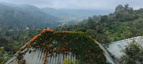 munnar tea hills resort