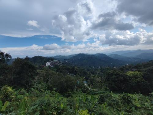 munnar tea hills resort