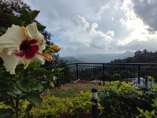 munnar tea hills resort