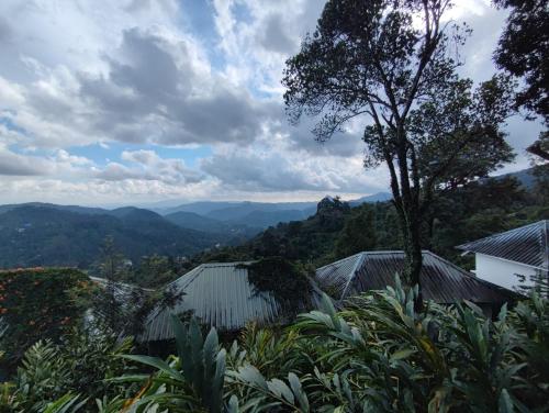 munnar tea hills resort