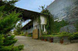 munnar tea hills resort