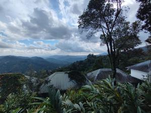 munnar tea hills resort