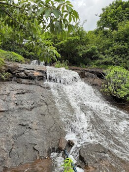 jumbo paradise pawna lake
