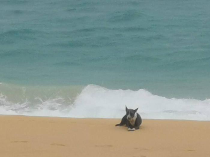 sealord naithon beachfront villa