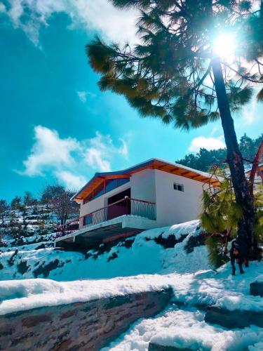 almora