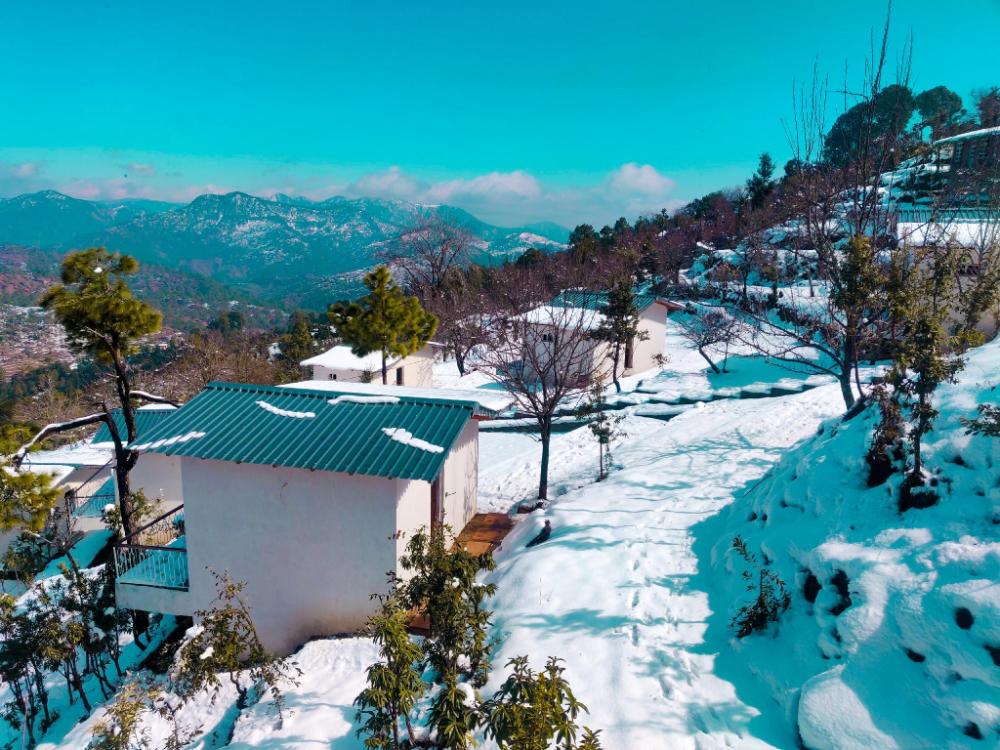 almora
