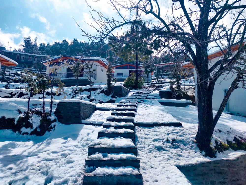 almora