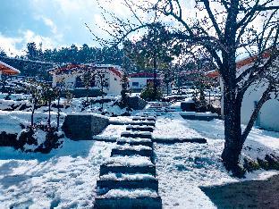 almora