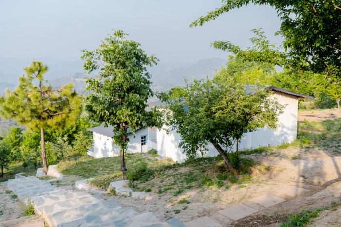 almora