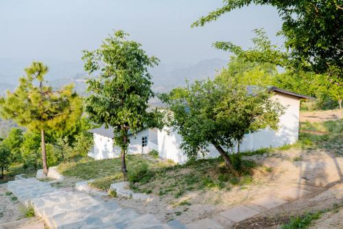 almora