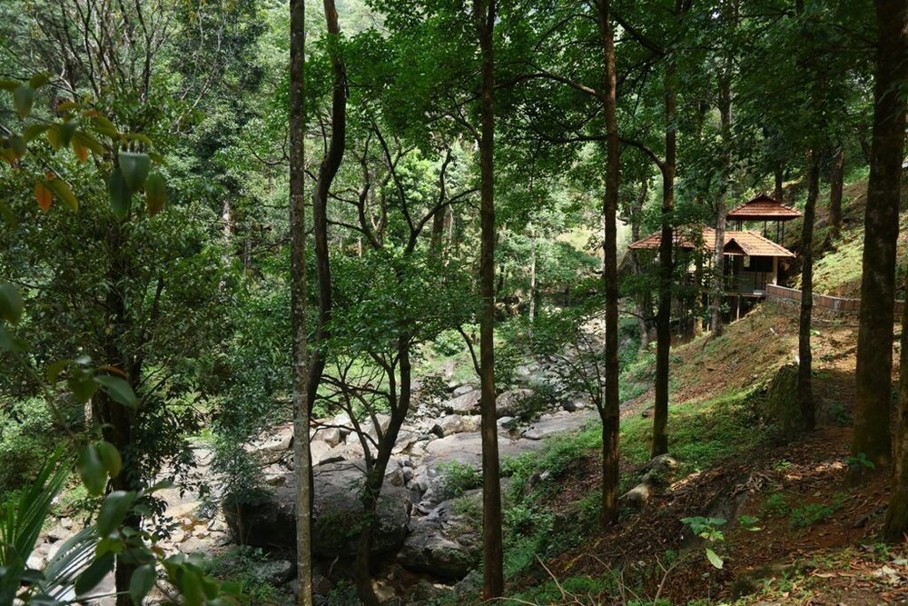 blue ginger resorts