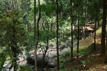 blue ginger resorts