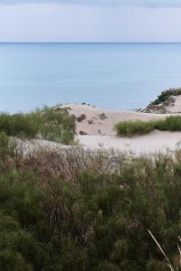teacampa tarifa punta paloma