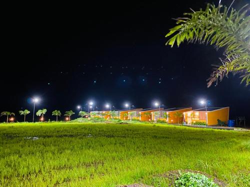 mountain n lake resort