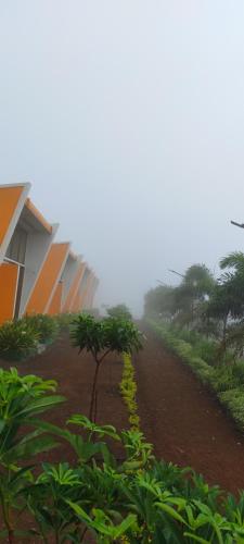 mountain n lake resort