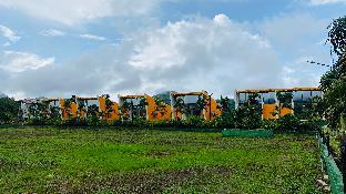 mountain n lake resort