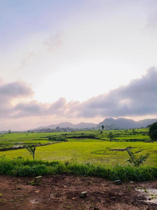 mountain n lake resort