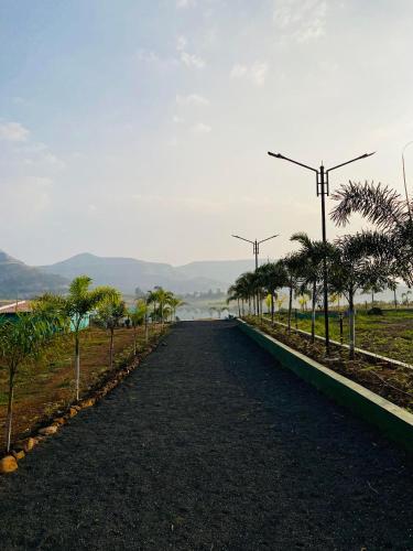 mountain n lake resort