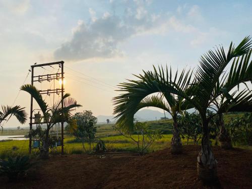 mountain n lake resort