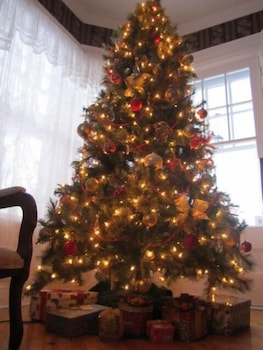 the dawson house bed and breakfast