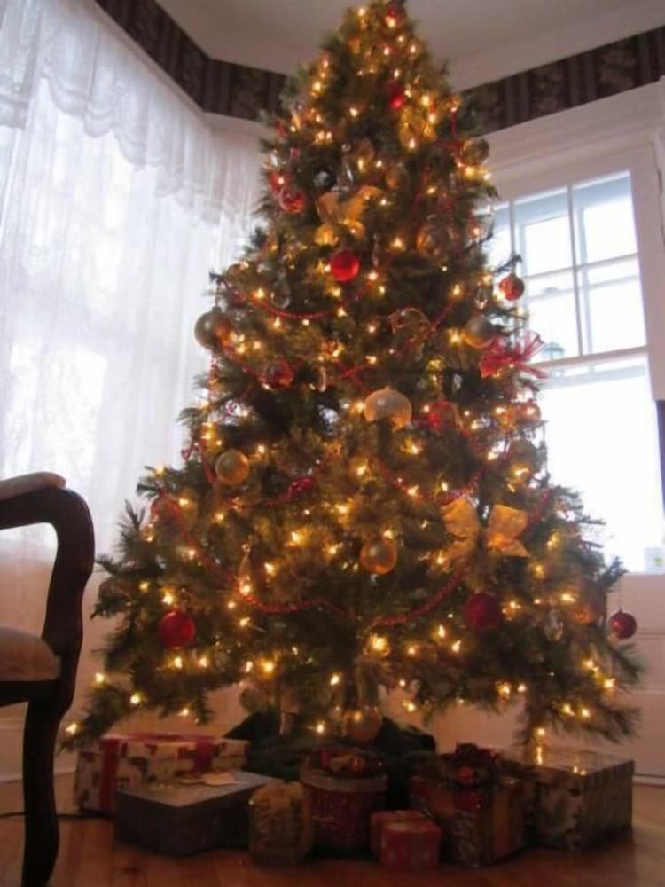 the dawson house bed and breakfast