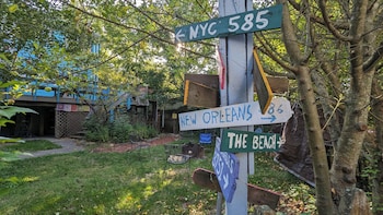 bon paul and sharkys youth hostel