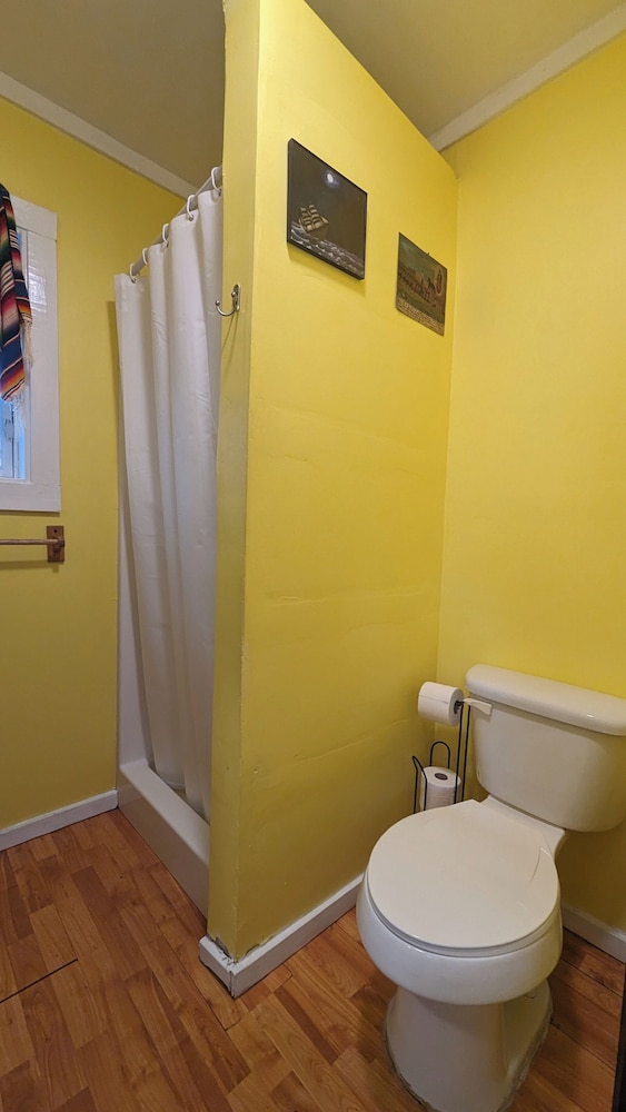 bon paul and sharkys youth hostel