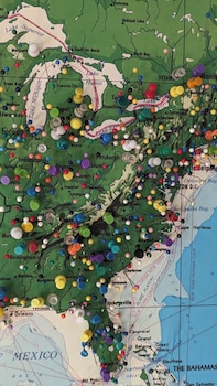 bon paul and sharkys youth hostel