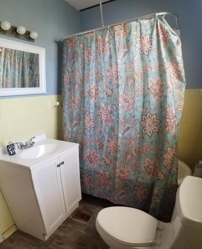 bon paul and sharkys youth hostel