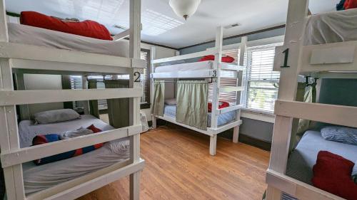 bon paul and sharkys youth hostel