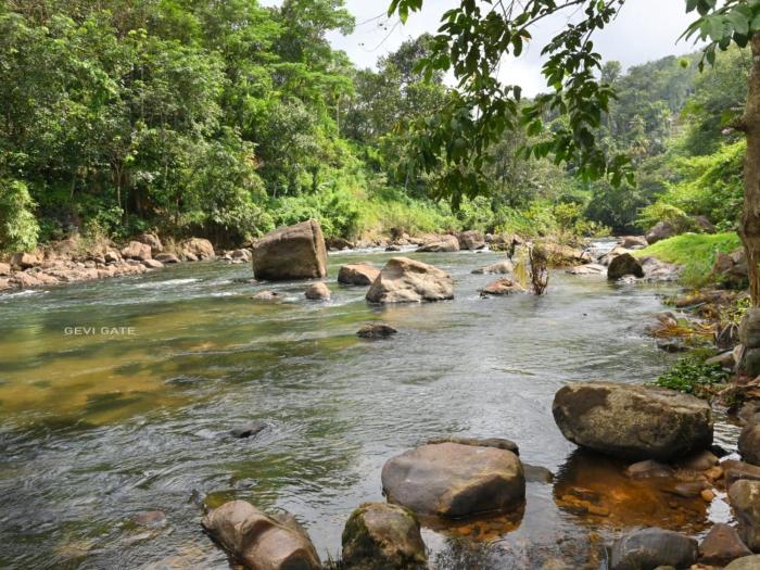 gavigate home stay