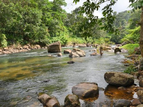 gavigate home stay