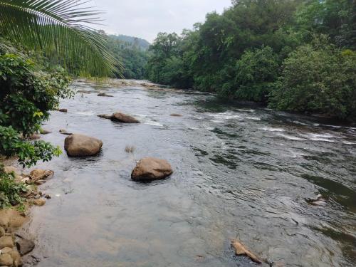 pathanamthitta