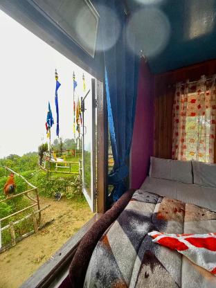 New Bloom Homestay,,0 star