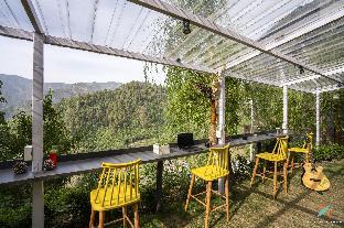 zostel homes ramgarh nainital