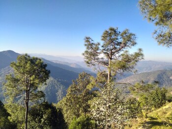 Binsar View Homestay,,0 star