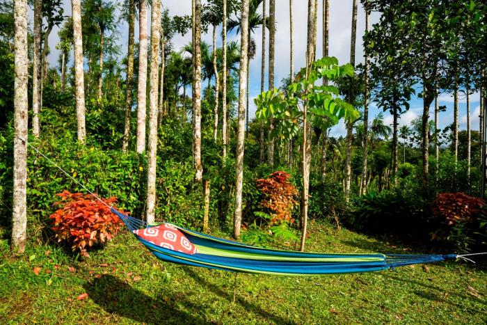 zostel homes wayanad karapuzha