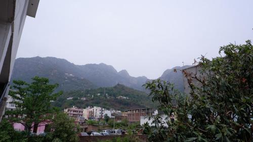 saatvik homestay