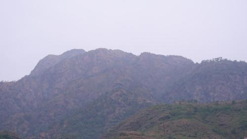 saatvik homestay