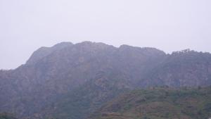 saatvik homestay