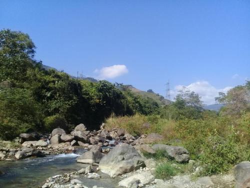 mirik