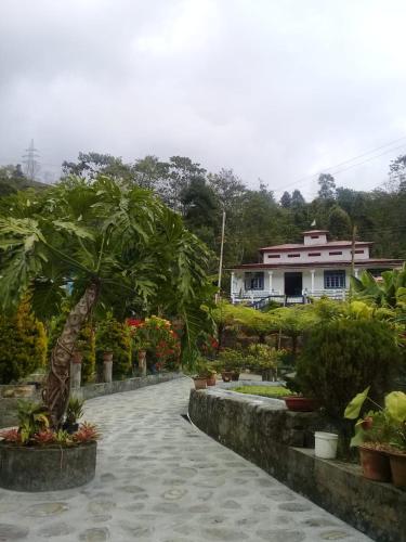mirik